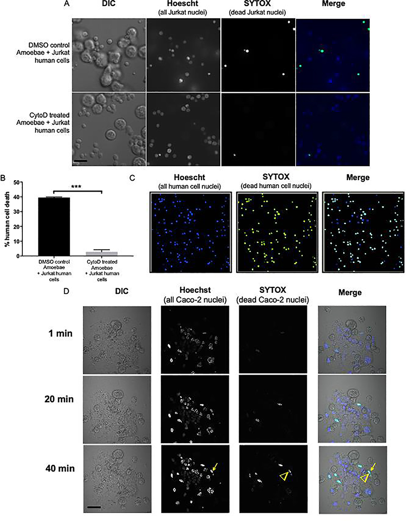 Figure 3: