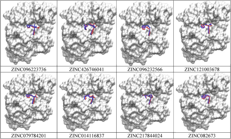 Fig. 6