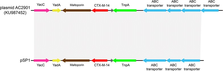 Fig. 2