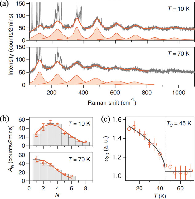 Figure 19