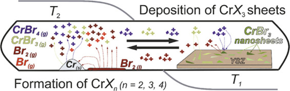 Figure 53