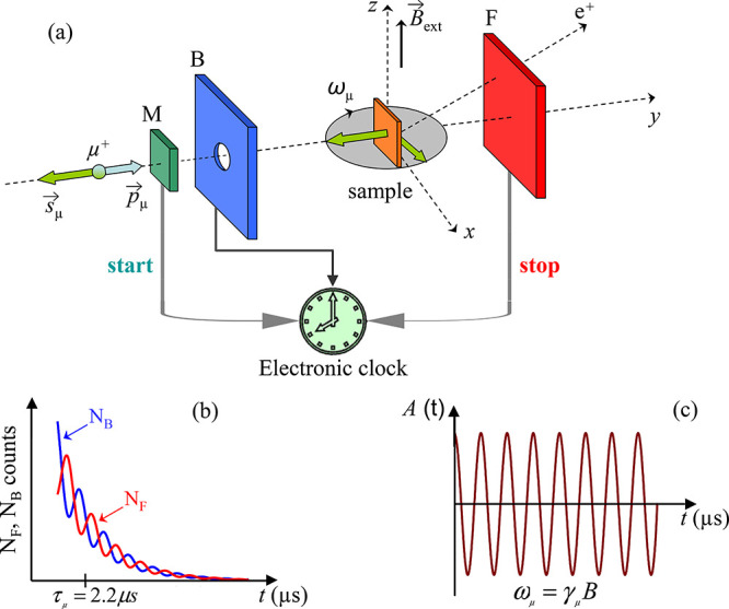 Figure 31