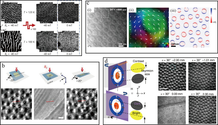 Figure 24