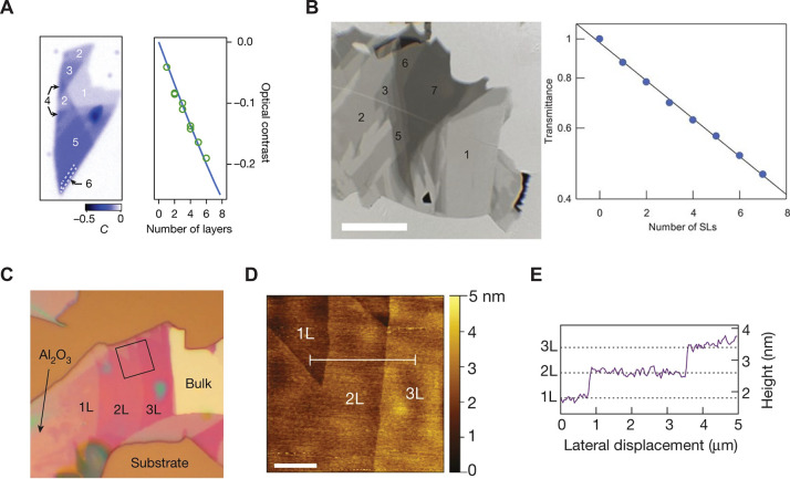 Figure 52