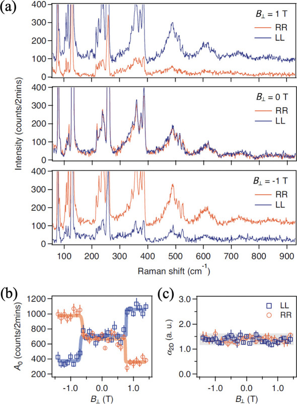 Figure 20