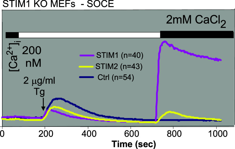 Fig. 8.
