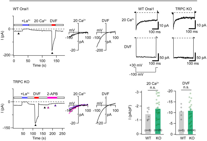 Fig. 11.