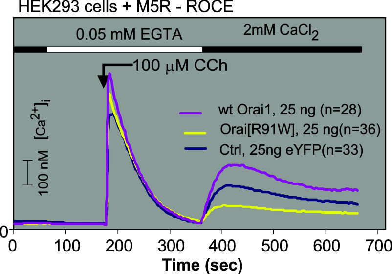 Fig. 9.