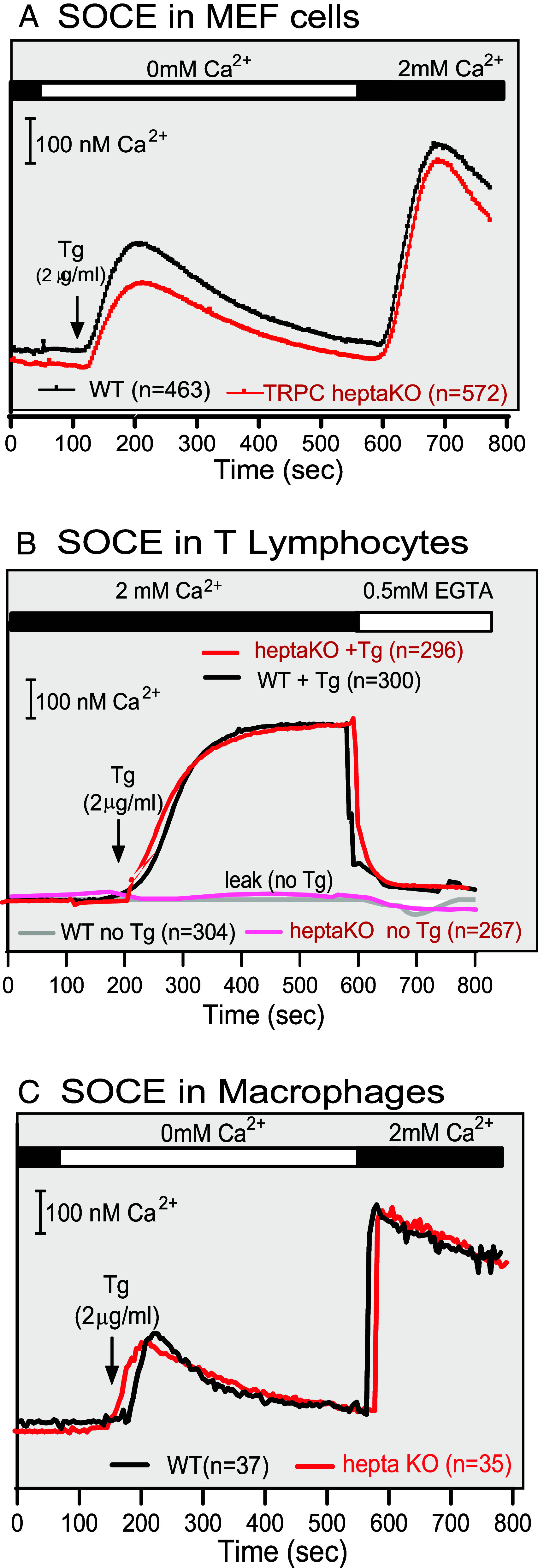 Fig. 10.