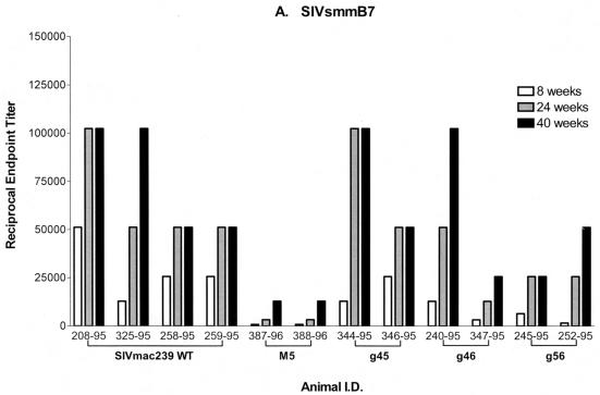 FIG. 8.