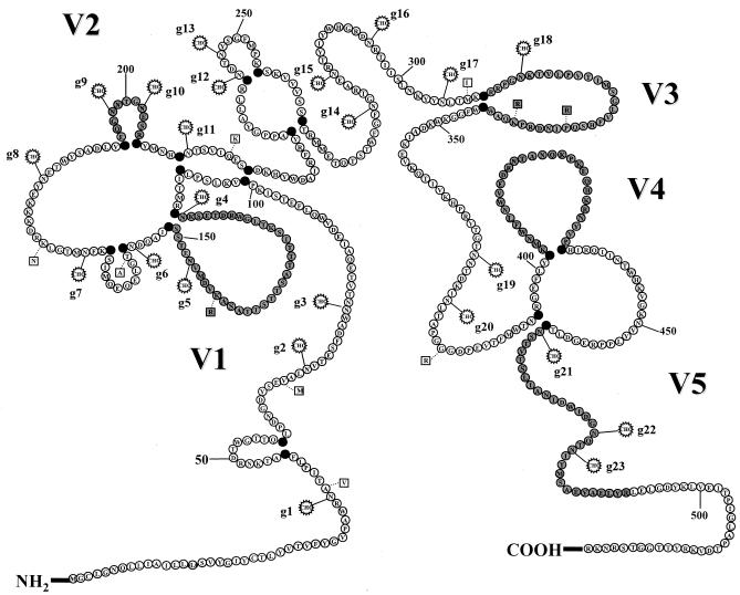 FIG. 1.