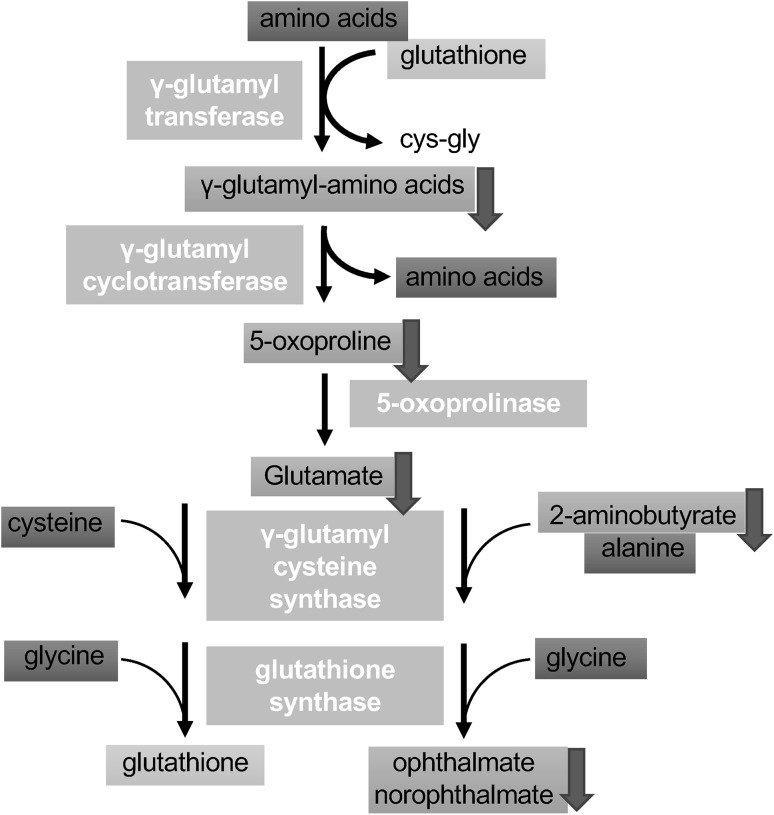 Fig. 4