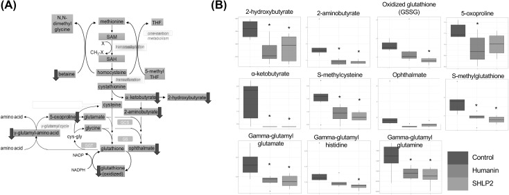 Fig. 3