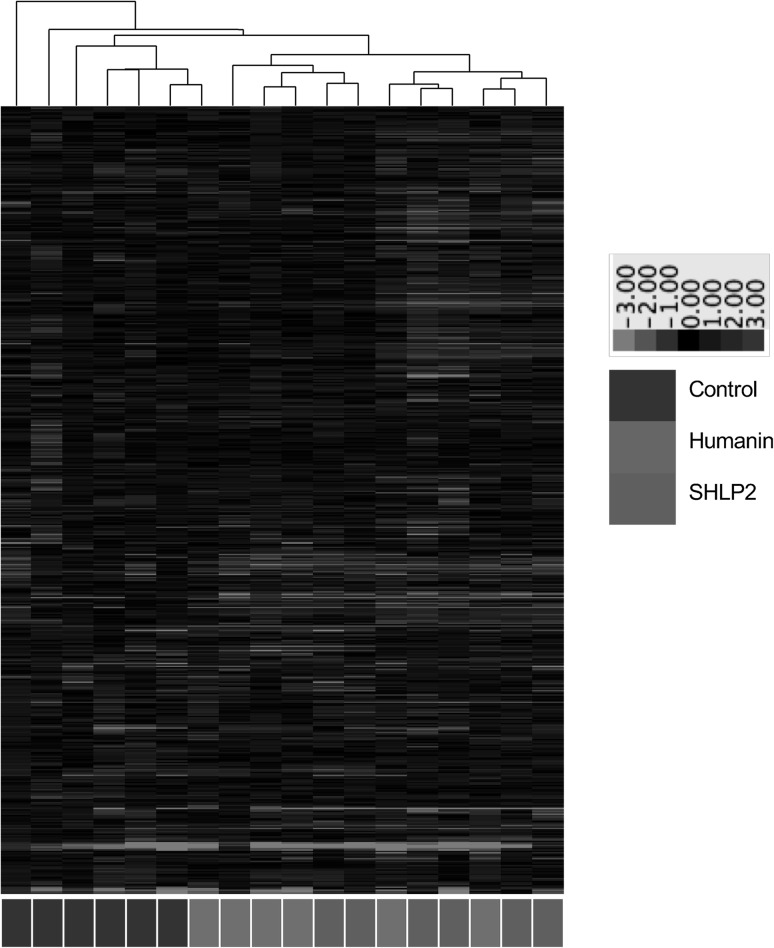 Fig. 1