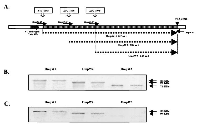 FIG. 7