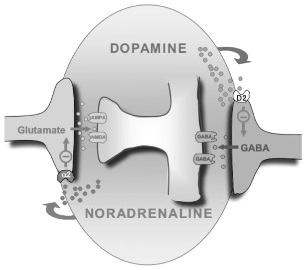 FIG. 7