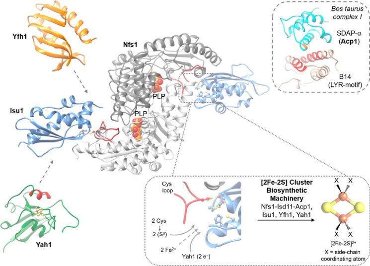 Figure 3.