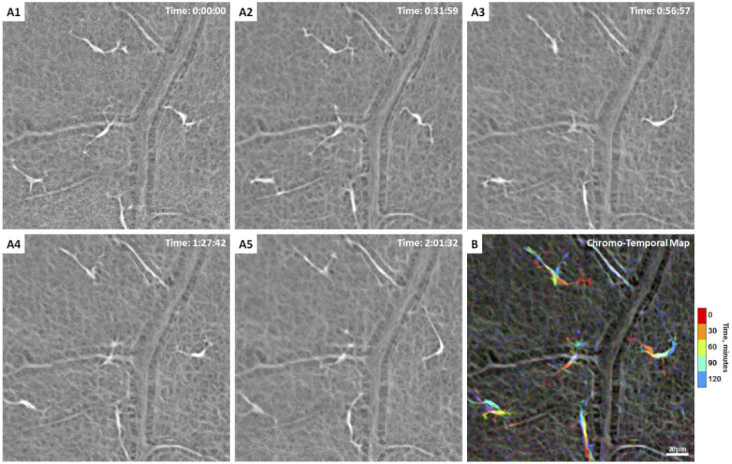 Fig. 4.