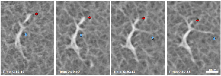 Fig. 7.