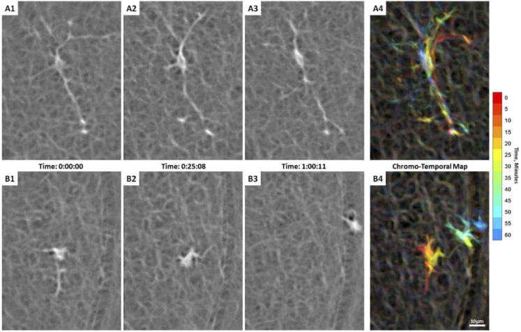 Fig. 8.