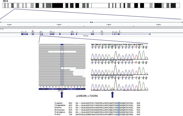 Figure 2.