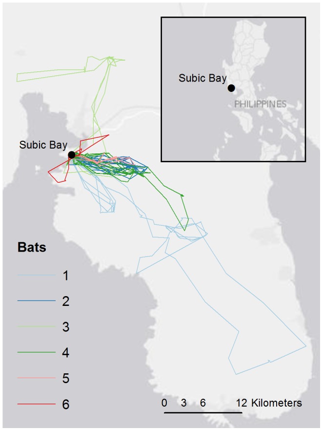 Figure 1