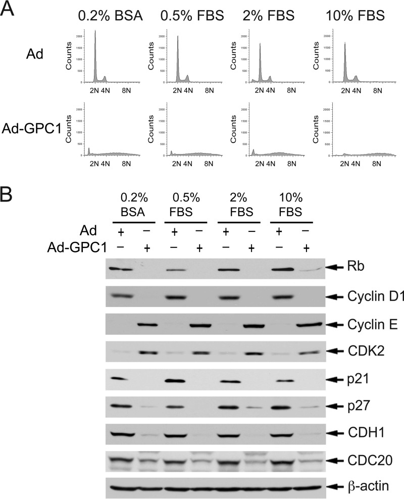 Fig 8