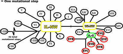 Fig. 4.