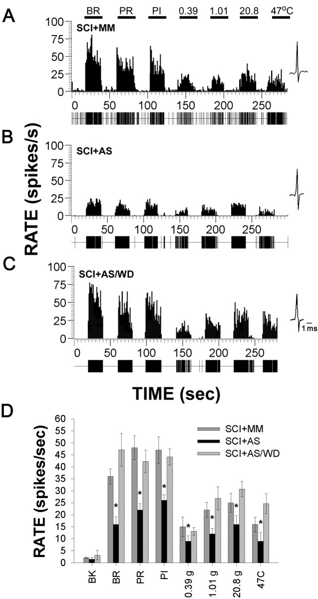 Figure 10.