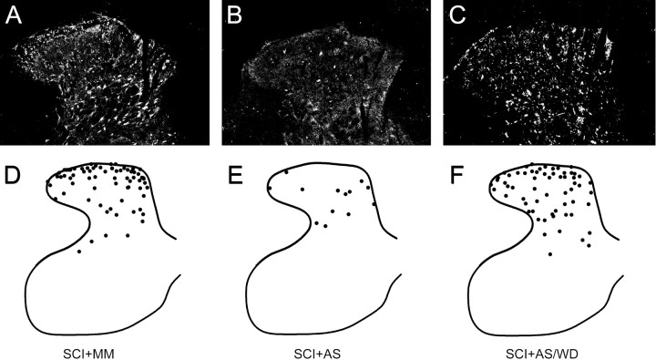 Figure 9.