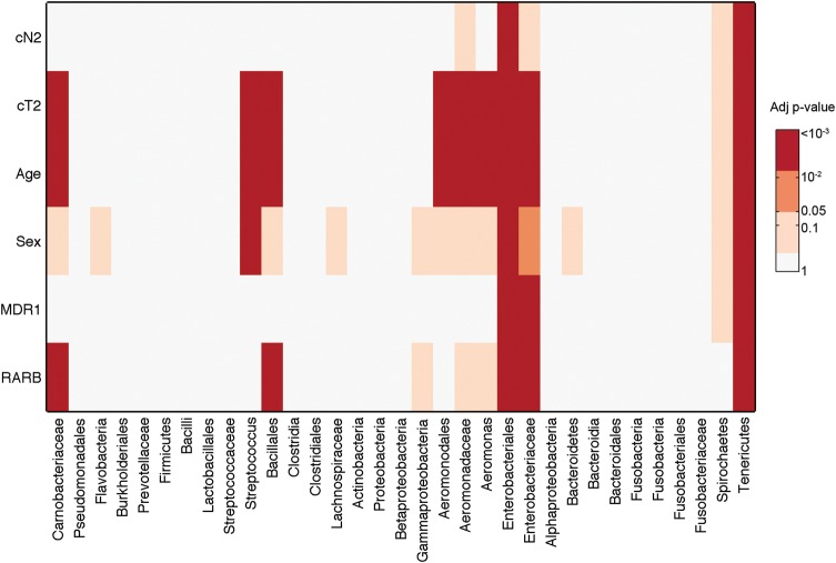 Figure 4.