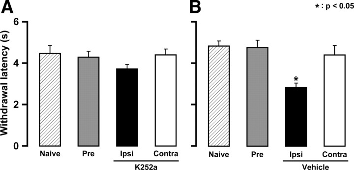 Figure 11.