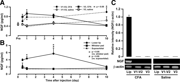 Figure 12.