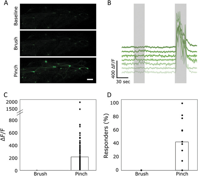 Figure 3.