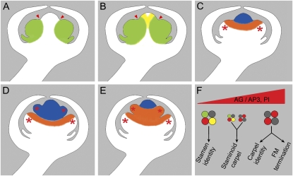 Figure 4.