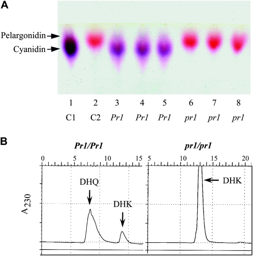 Figure 5.—