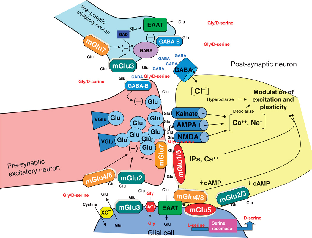 Fig. 1