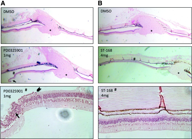 FIG. 6.