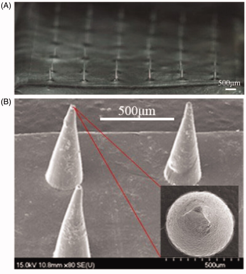 Figure 2.