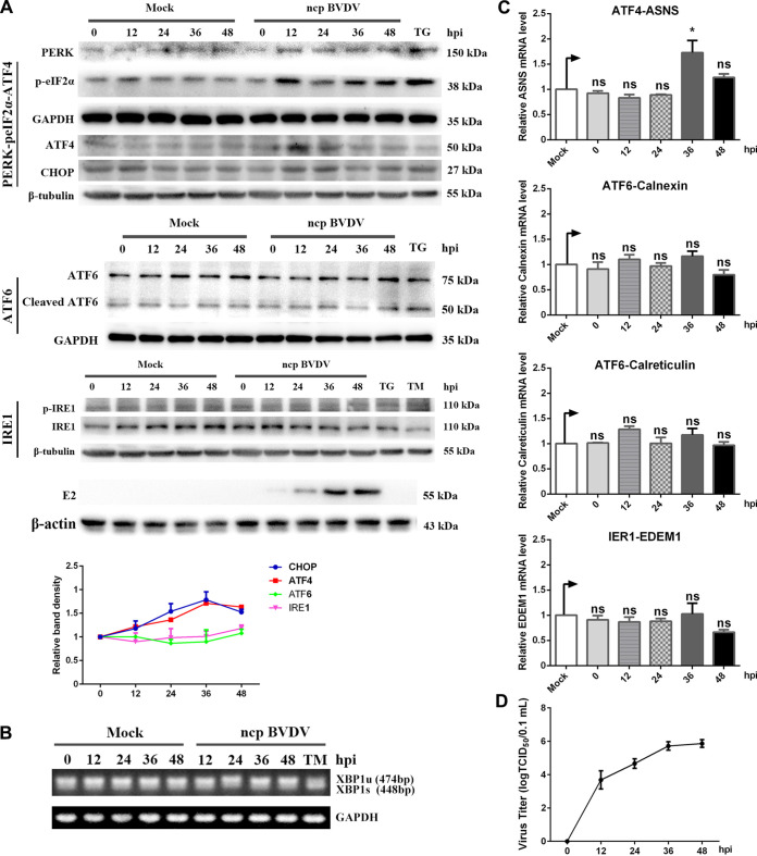 FIG 3