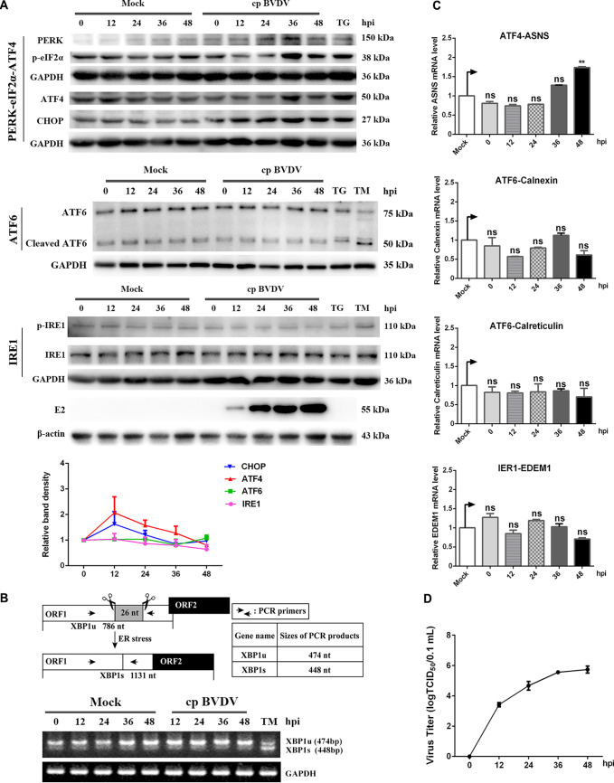 FIG 2