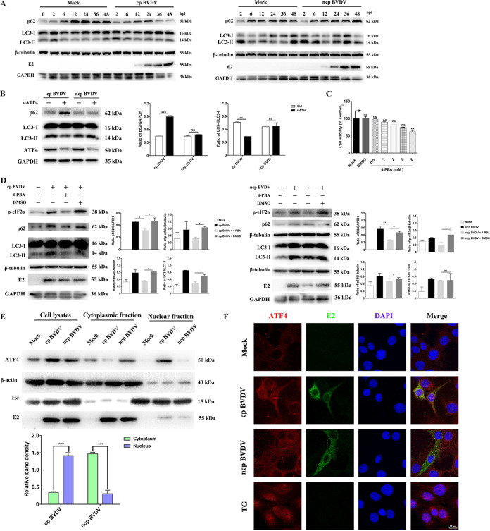 FIG 6