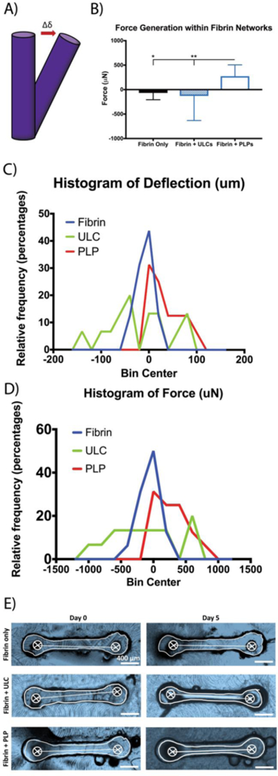 Figure 4: