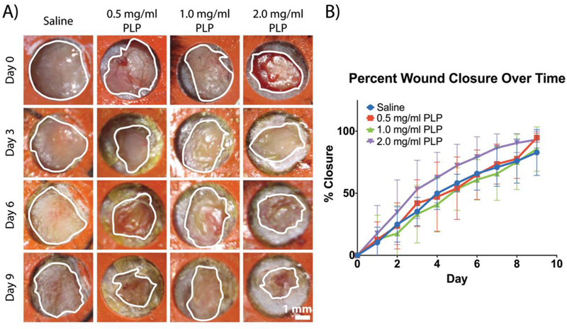 Figure 6: