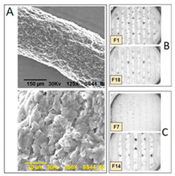 graphic file with name pharmaceutics-12-00124-i017.jpg