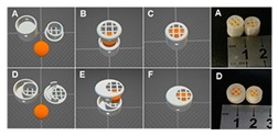 graphic file with name pharmaceutics-12-00124-i011.jpg