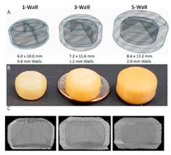 graphic file with name pharmaceutics-12-00124-i006.jpg