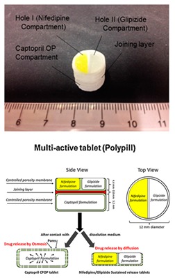 graphic file with name pharmaceutics-12-00124-i015.jpg