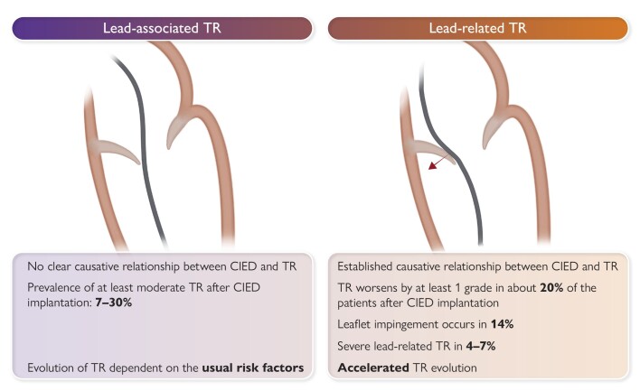 Graphical Abstract