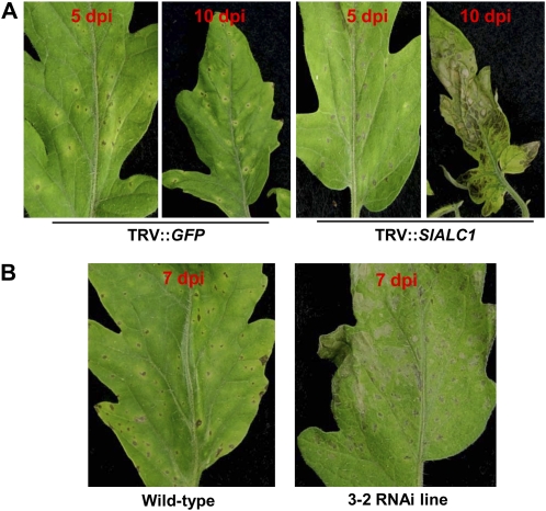 Figure 4.